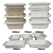 Biodegradable Disposable Sugarcane Bagasse Food Container